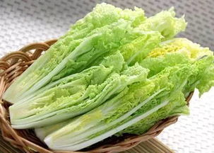 京東進軍蔬菜領域 重塑品質標準，超越有機蔬菜的革新之路