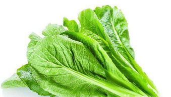 廣州大型蔬菜配送公司 專(zhuān)業(yè)批發(fā)水果農(nóng)副產(chǎn)品與食堂承包服務(wù)