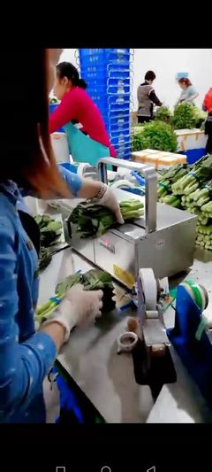 智能農(nóng)業(yè)革命 一臺(tái)設(shè)備如何讓這家工廠的蔬菜銷(xiāo)量翻番